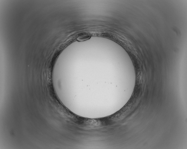 X0000111920421200908101225