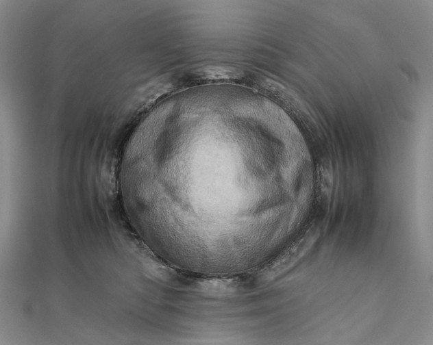 X0000111920422200908101225