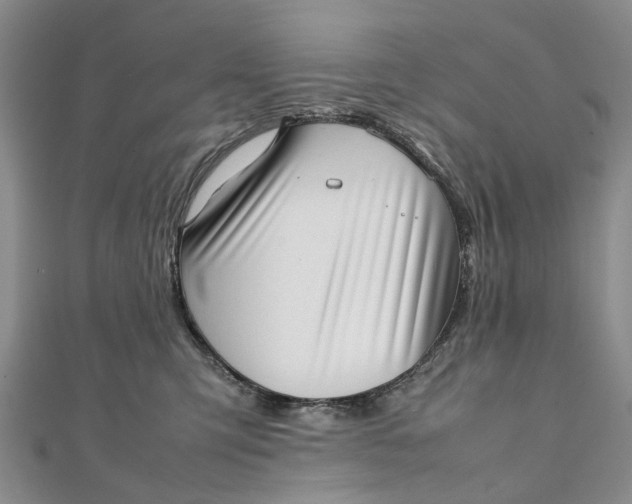 X0000111920423200908101225