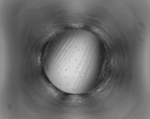 X0000111920424200908101225