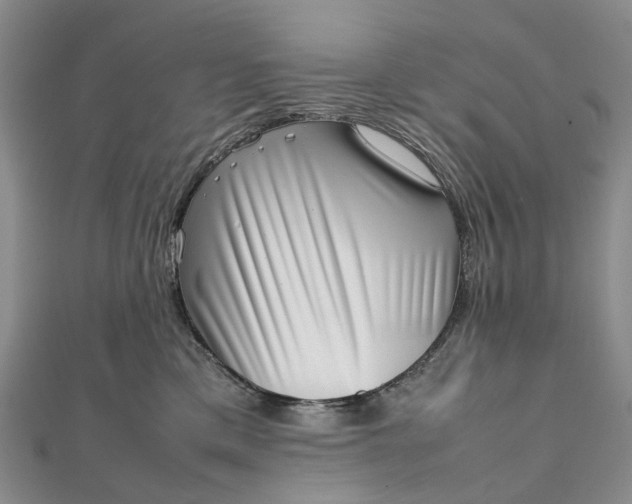 X0000111920425200908101225