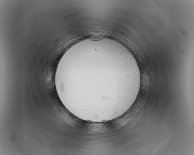 X0000111920428200908101225