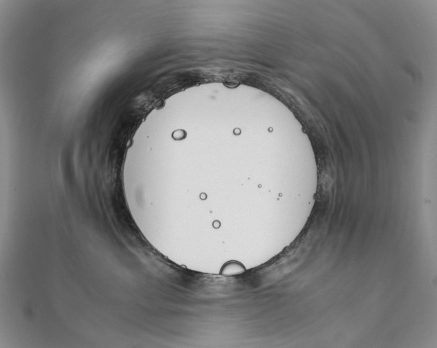 X0000111920429200908101225