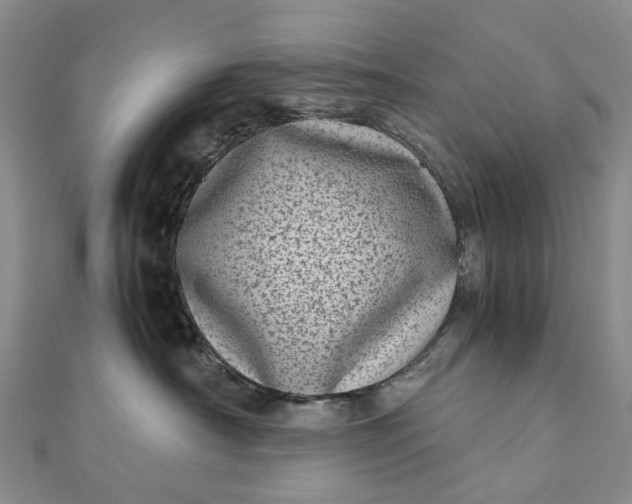 X0000111920430200908101225