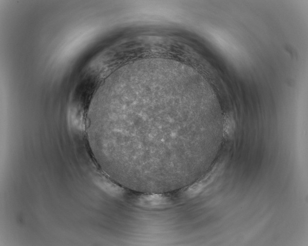 X0000111920431200908101225