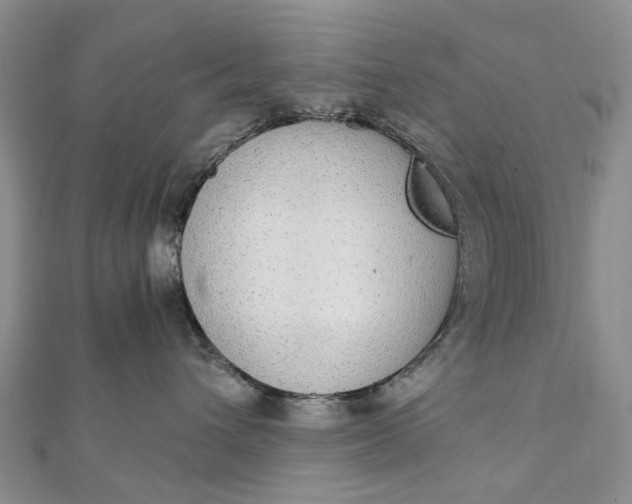 X0000111920432200908101225