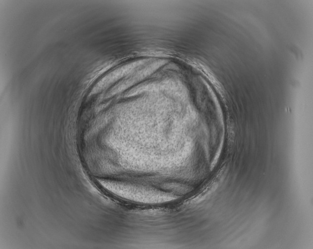 X0000111920433200908101224