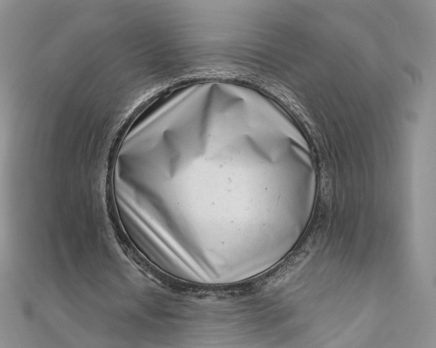 X0000111920434200908101224