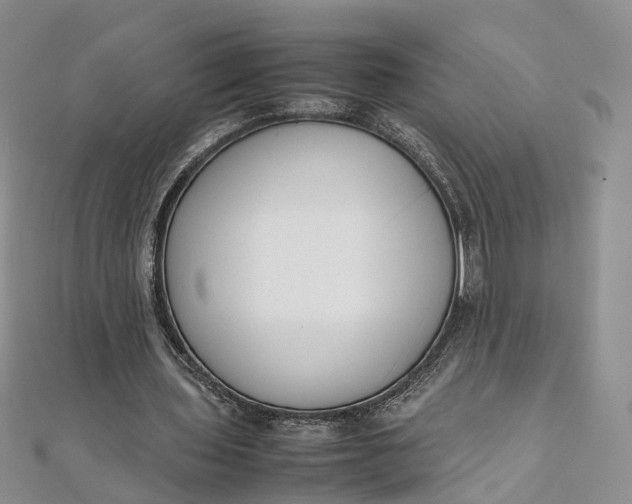 X0000111920435200908101224