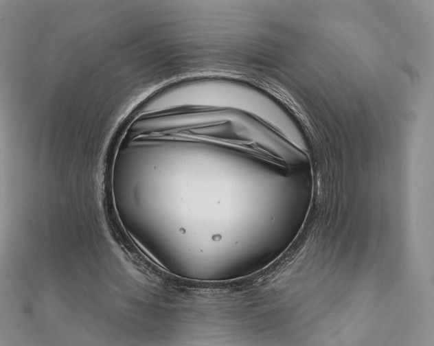 X0000111920436200908101224