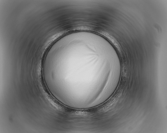 X0000111920437200908101224