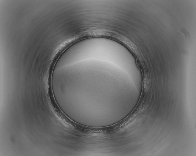 X0000111920438200908101224