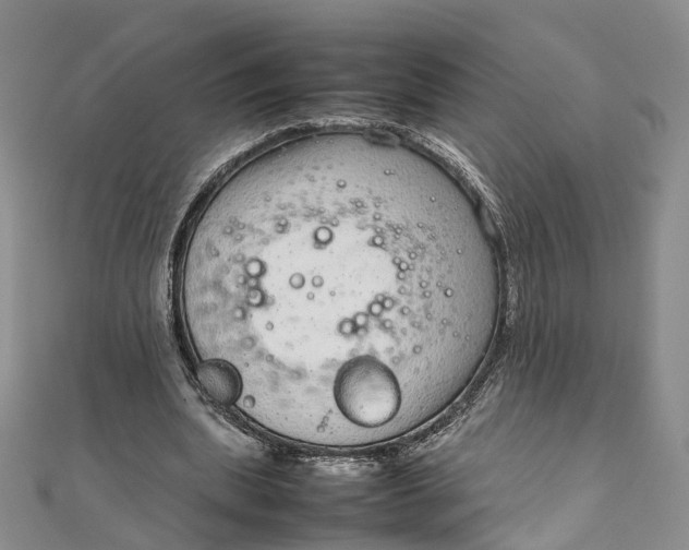 X0000111920439200908101224