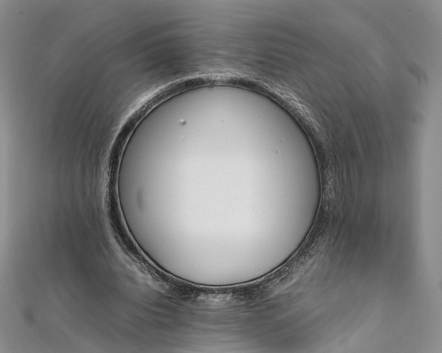 X0000111920440200908101224