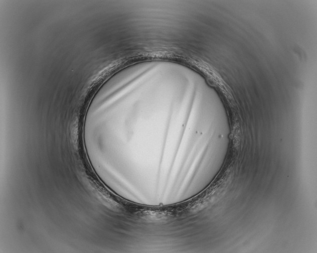 X0000111920442200908101224