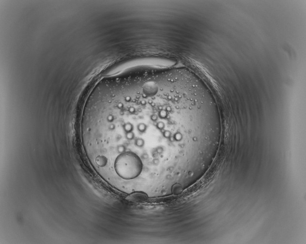 X0000111920443200908101224