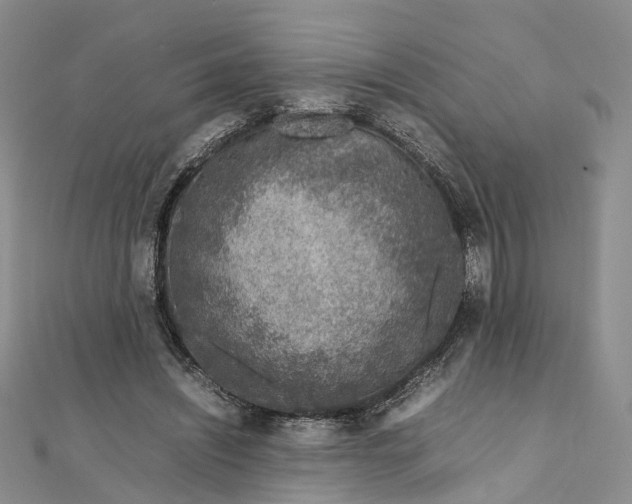 X0000111920444200908101224