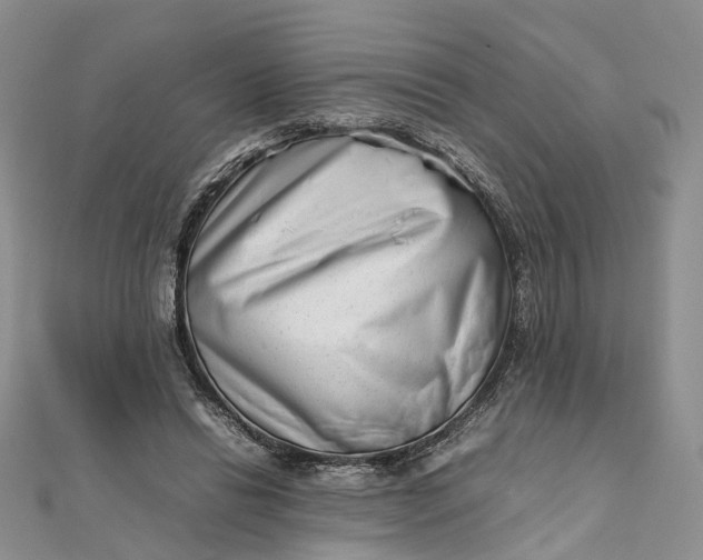 X0000111920446200908101224