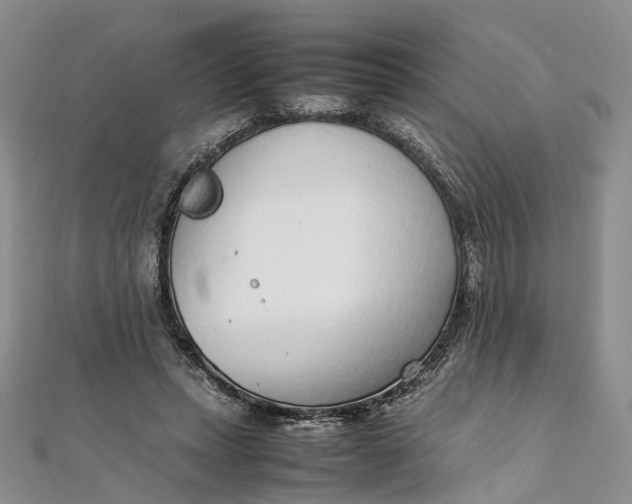 X0000111920447200908101225