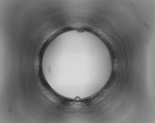 X0000111920448200908101225