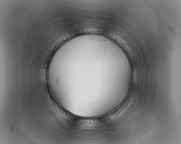 X0000111920449200908101225