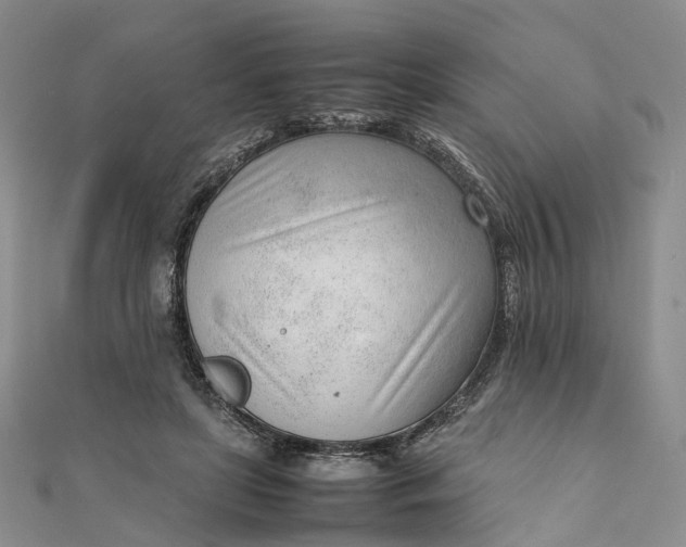 X0000111920451200908101225