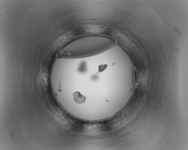 X0000111920452200908101225