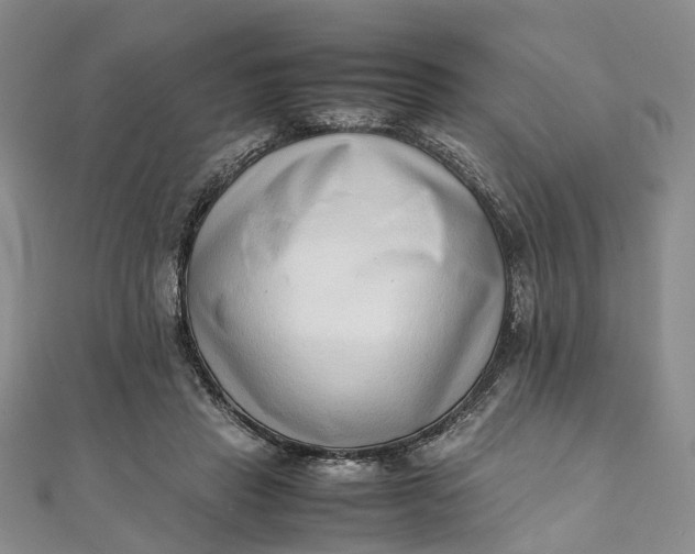 X0000111920453200908101225