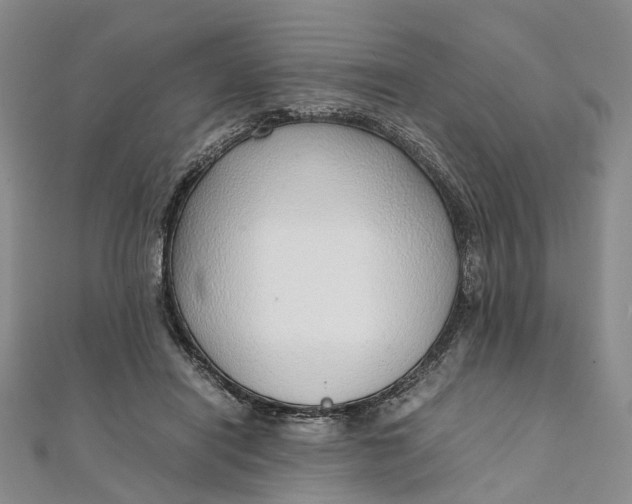 X0000111920454200908101225