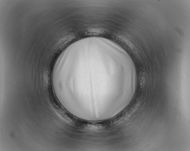 X0000111920455200908101225