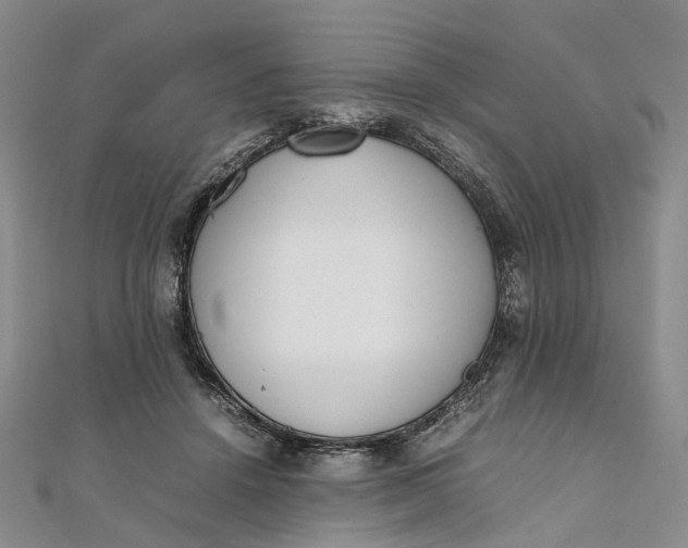 X0000111920456200908101225