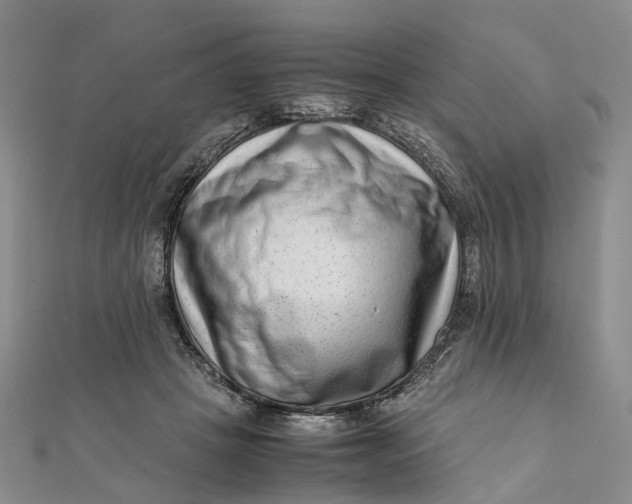 X0000111920457200908101225