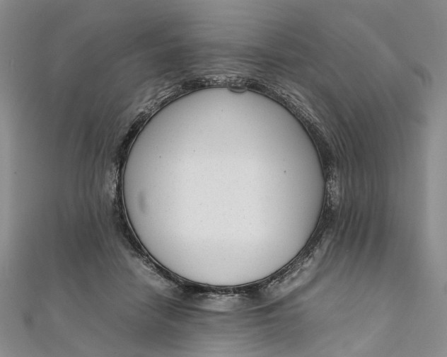 X0000111920458200908101225