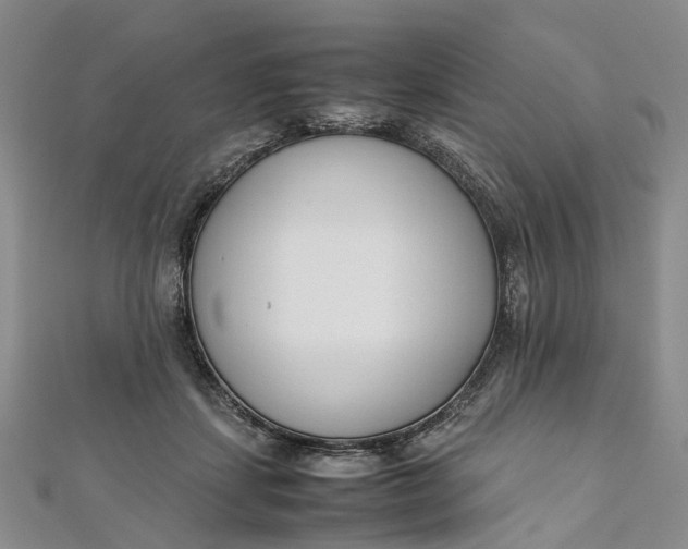 X0000111920459200908101225