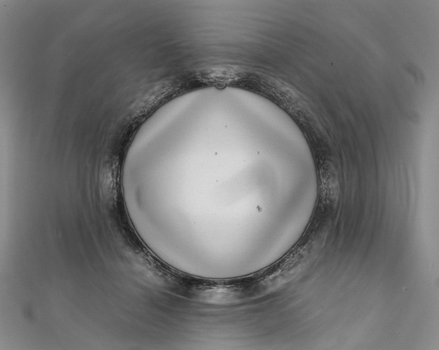 X0000111920460200908101225