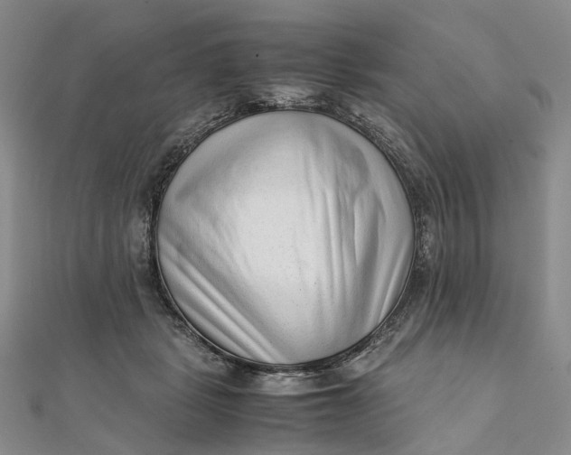 X0000111920461200908101225