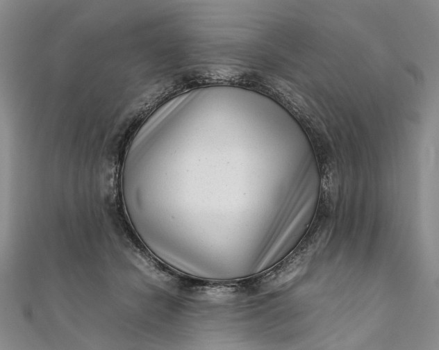 X0000111920462200908101225