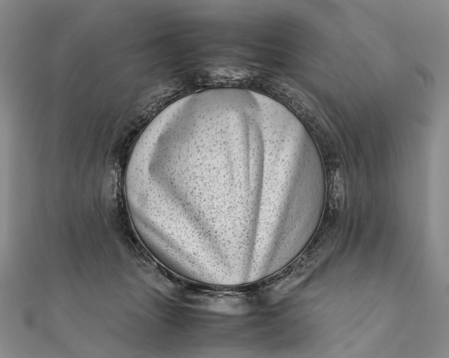 X0000111920463200908101225