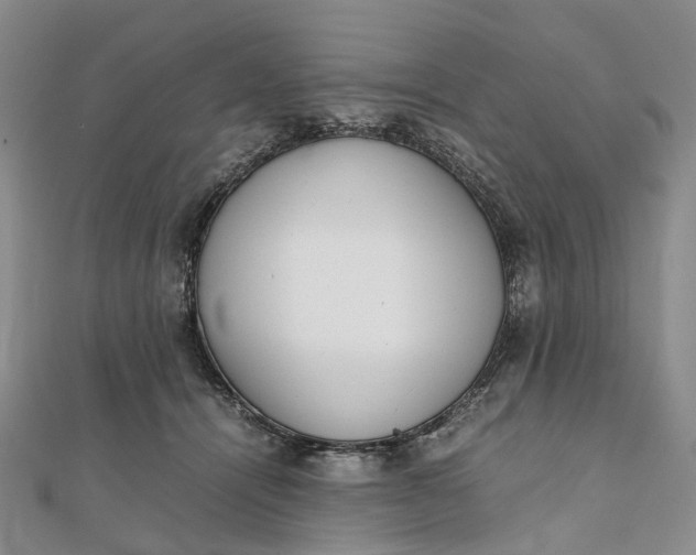 X0000111920464200908101225