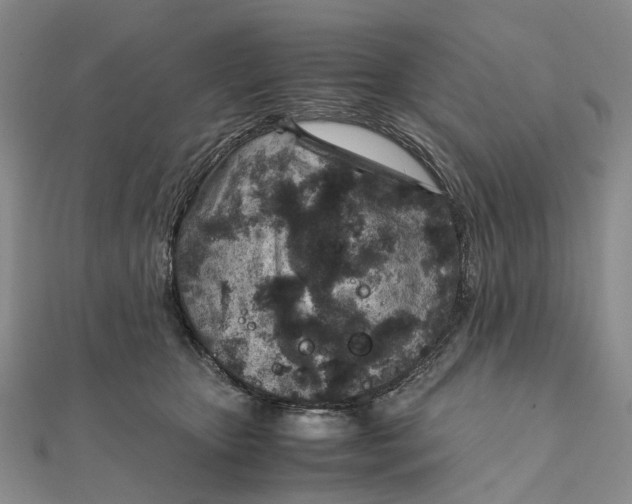 X0000111920467200908101225