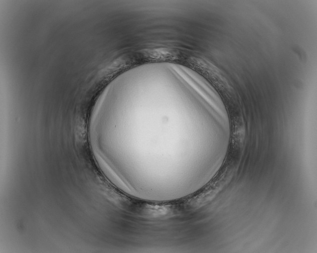 X0000111920469200908101225