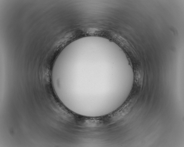 X0000111920470200908101225