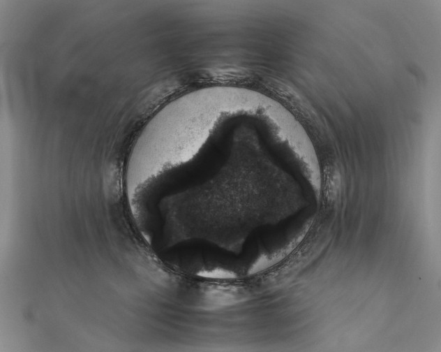 X0000111920471200908101225