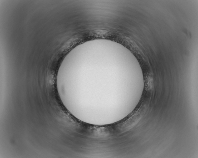 X0000111920472200908101225