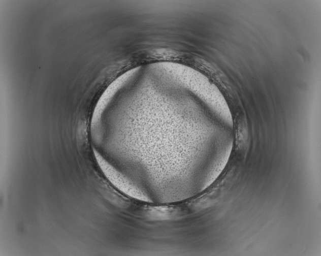 X0000111920473200908101225