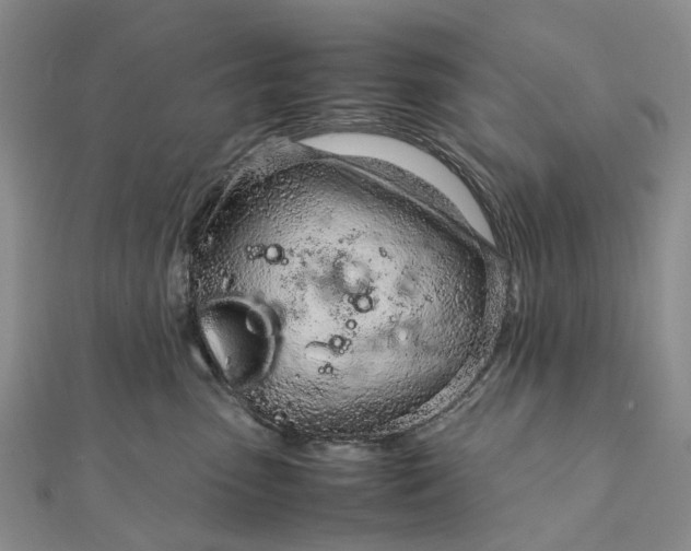 X0000111920475200908101225