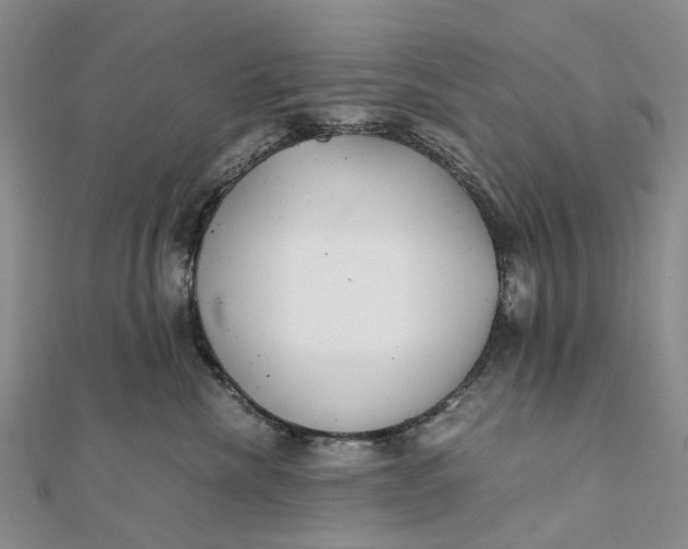 X0000111920476200908101225