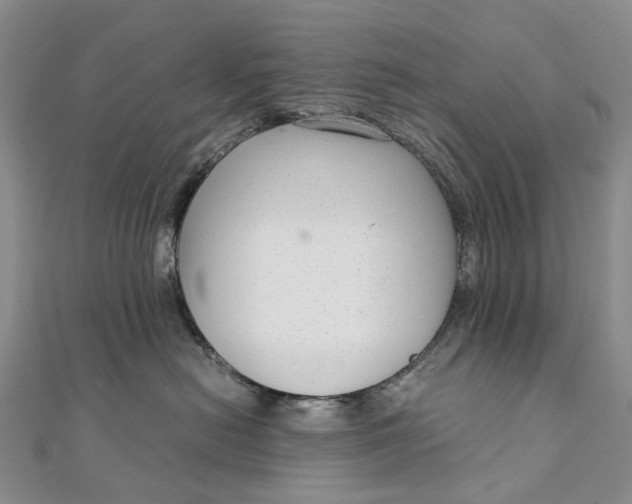 X0000111920478200908101225