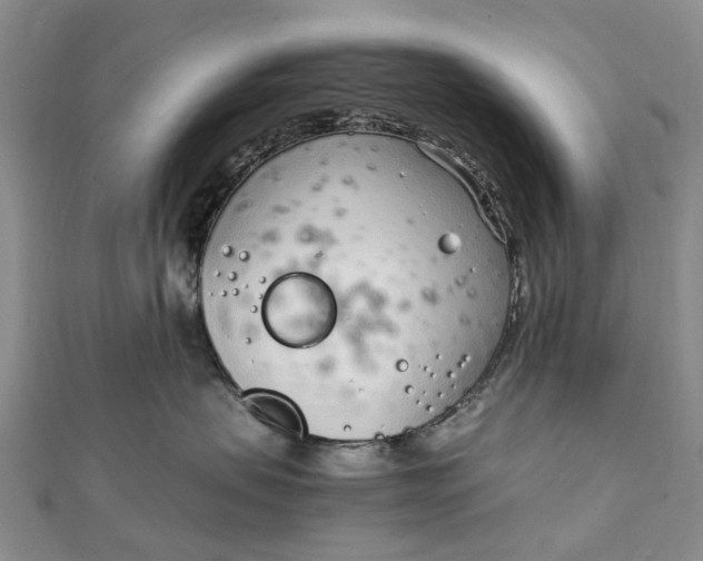 X0000111920479200908101225