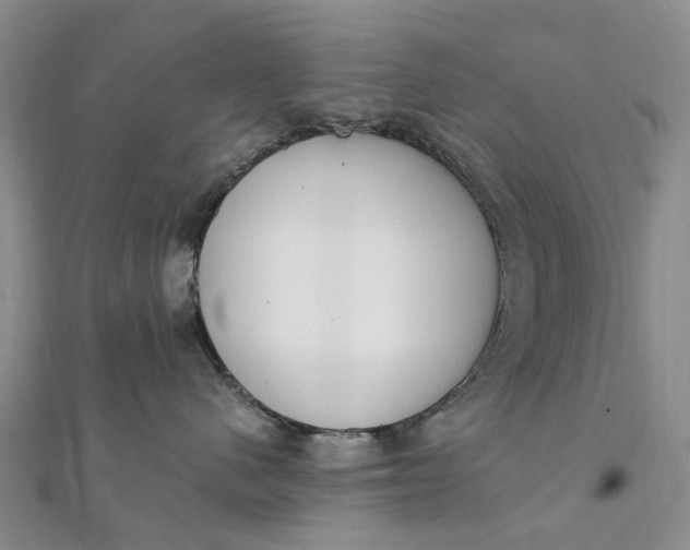 X0000111920480200908101225